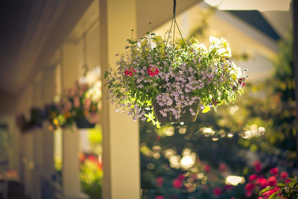 Wine Country Inn Palisade エクステリア 写真