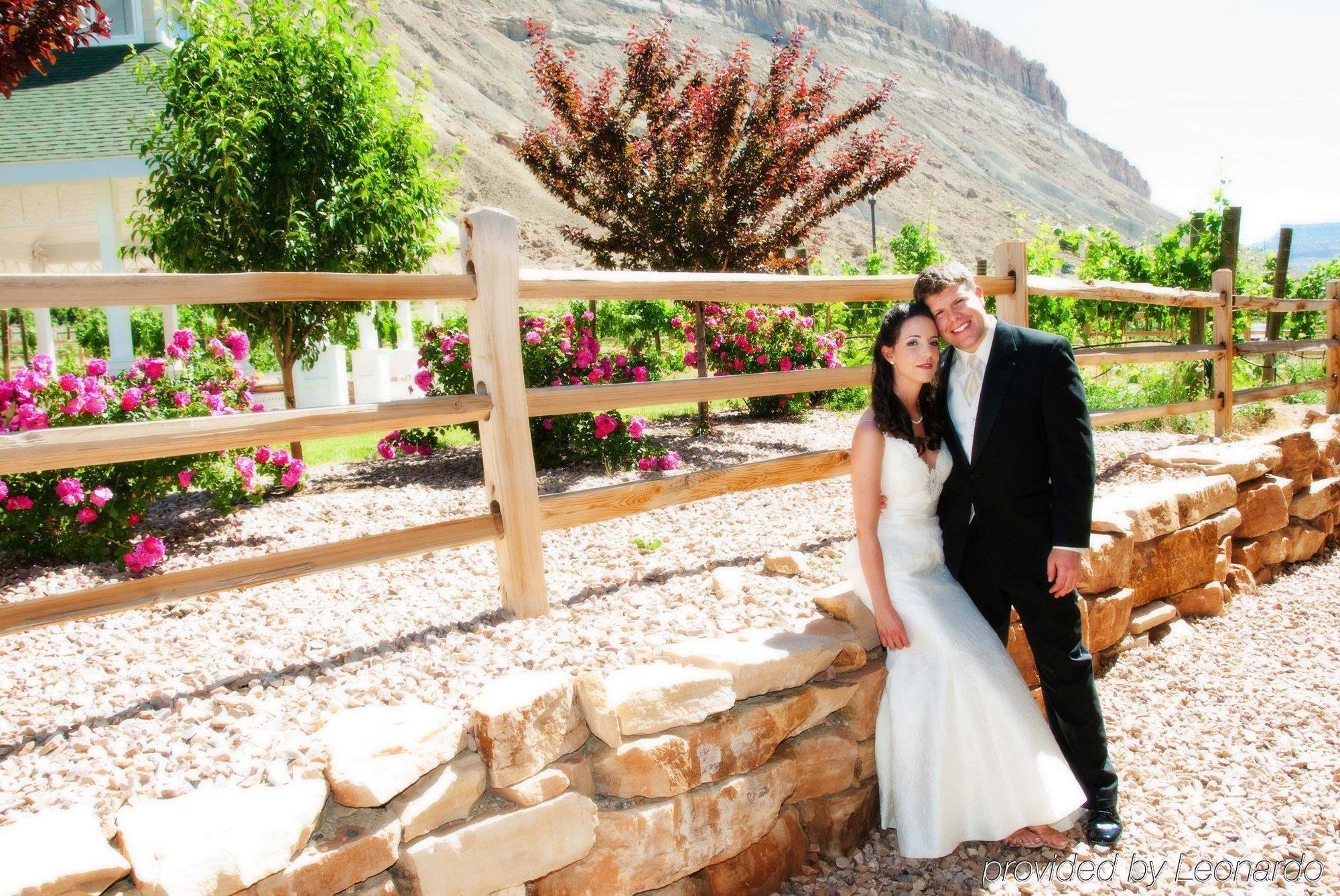 Wine Country Inn Palisade エクステリア 写真