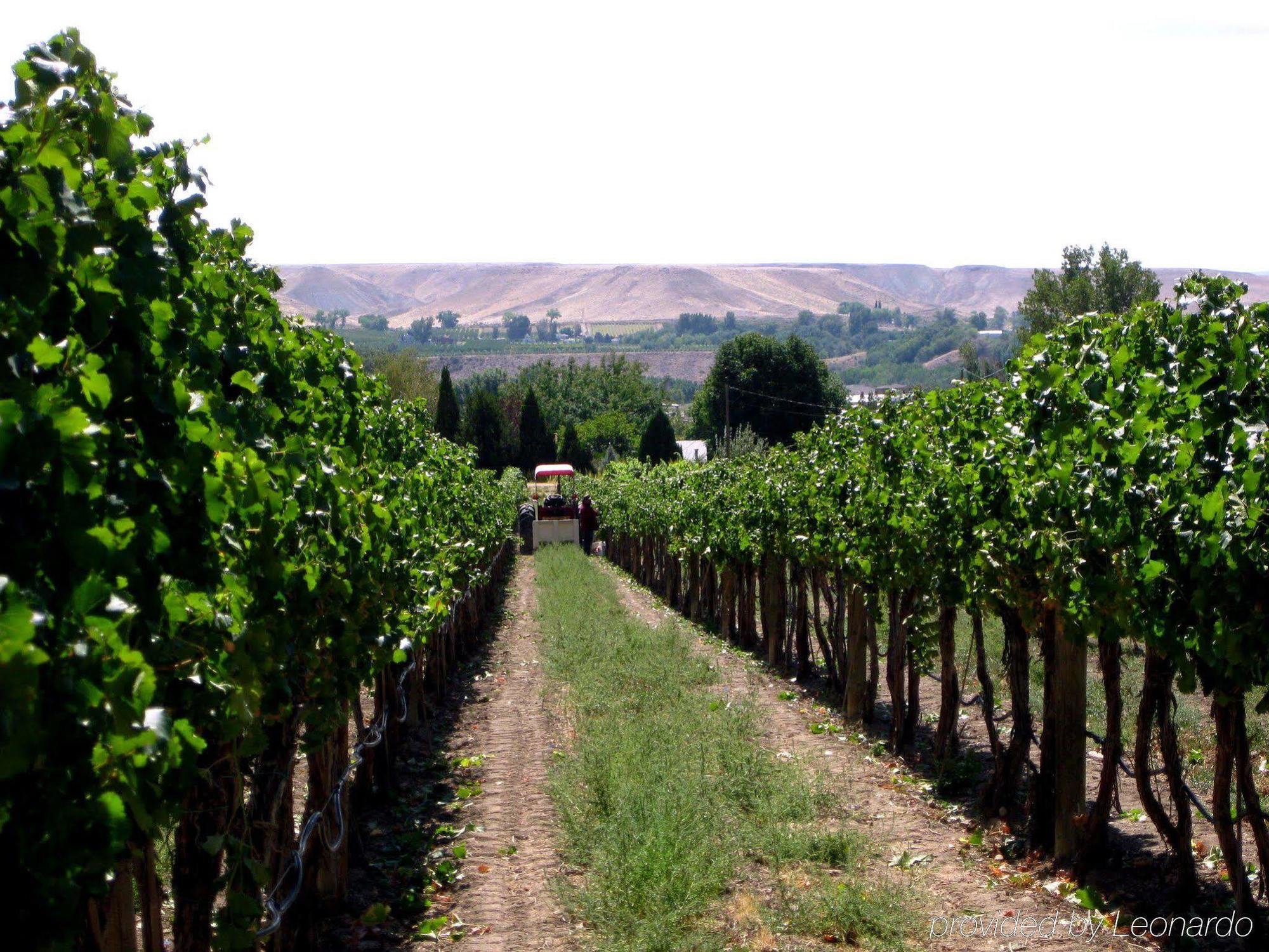 Wine Country Inn Palisade エクステリア 写真